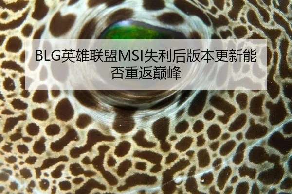 ying-xiong-lian-meng-shi-li-hou-ban-ben-geng-xin-neng-fou-chong-fan-dian-feng-2-290.jpg
