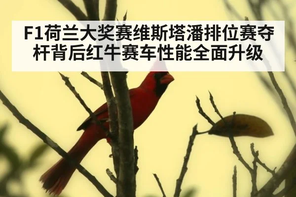 F1荷兰大奖赛维斯塔潘排位赛夺杆背后红牛赛车性能全面升级